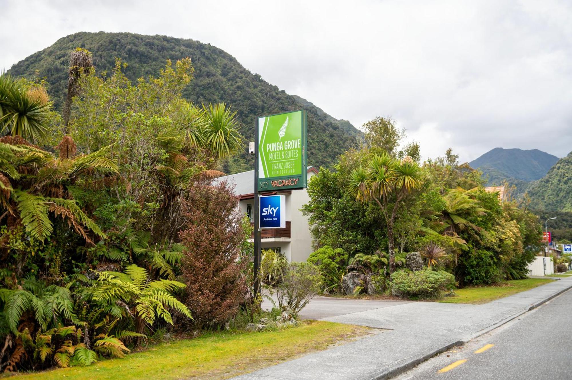 Motel Punga Grove Franz Josef Exteriér fotografie