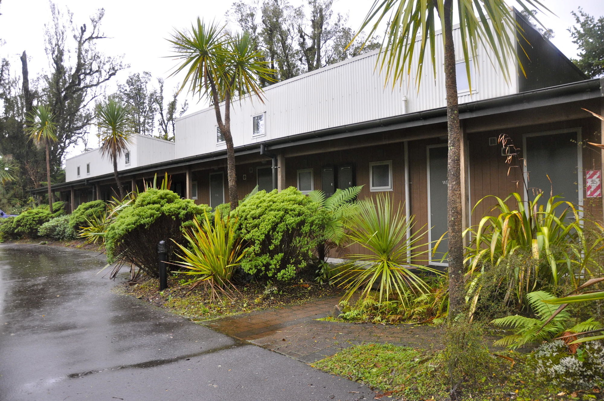 Motel Punga Grove Franz Josef Exteriér fotografie