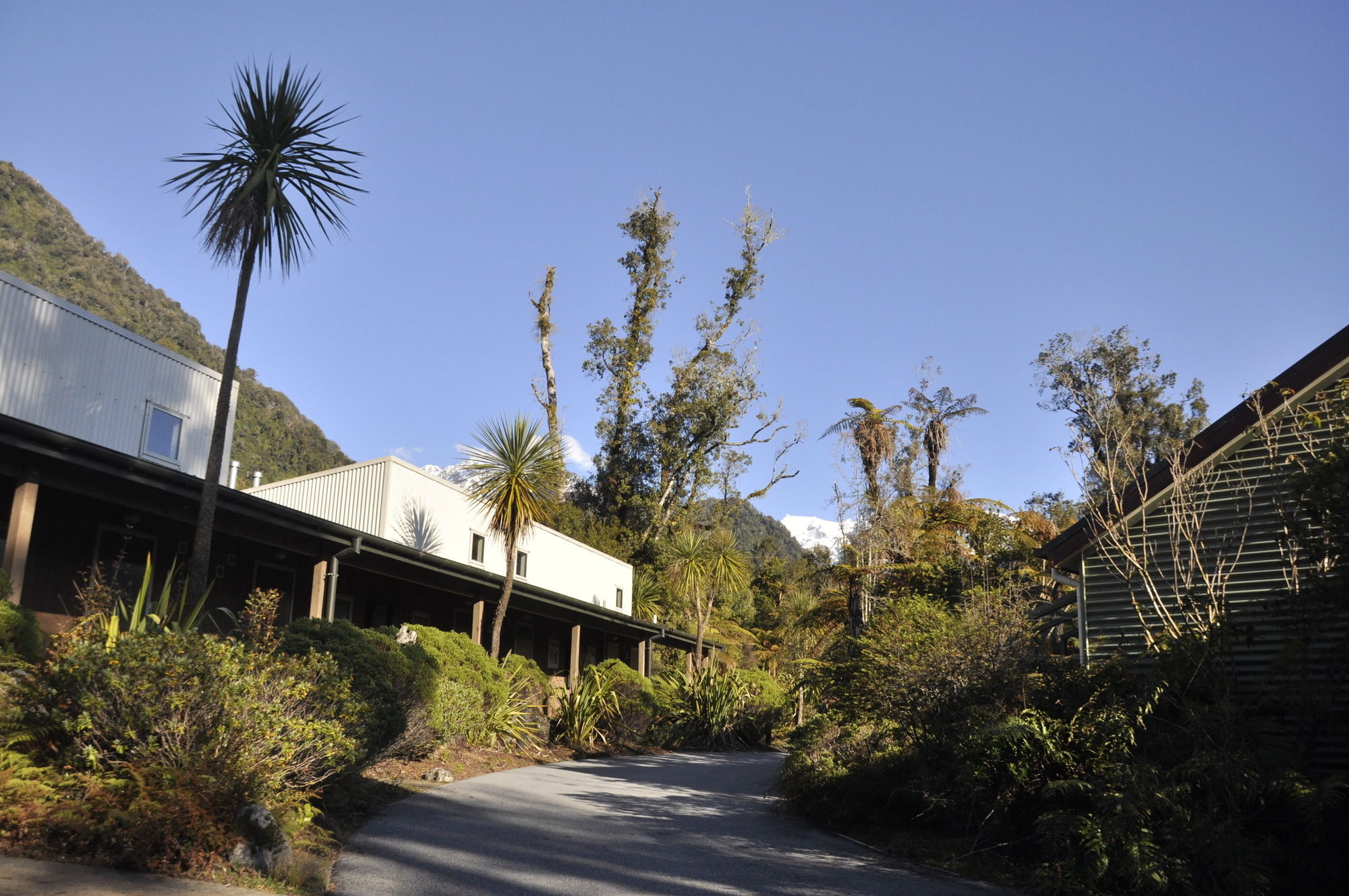 Motel Punga Grove Franz Josef Exteriér fotografie
